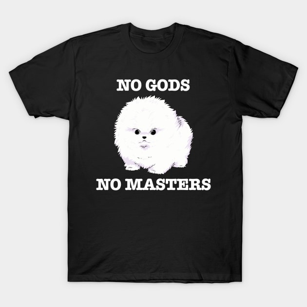 No Gods, No Masters (white) T-Shirt by Scott's Desk